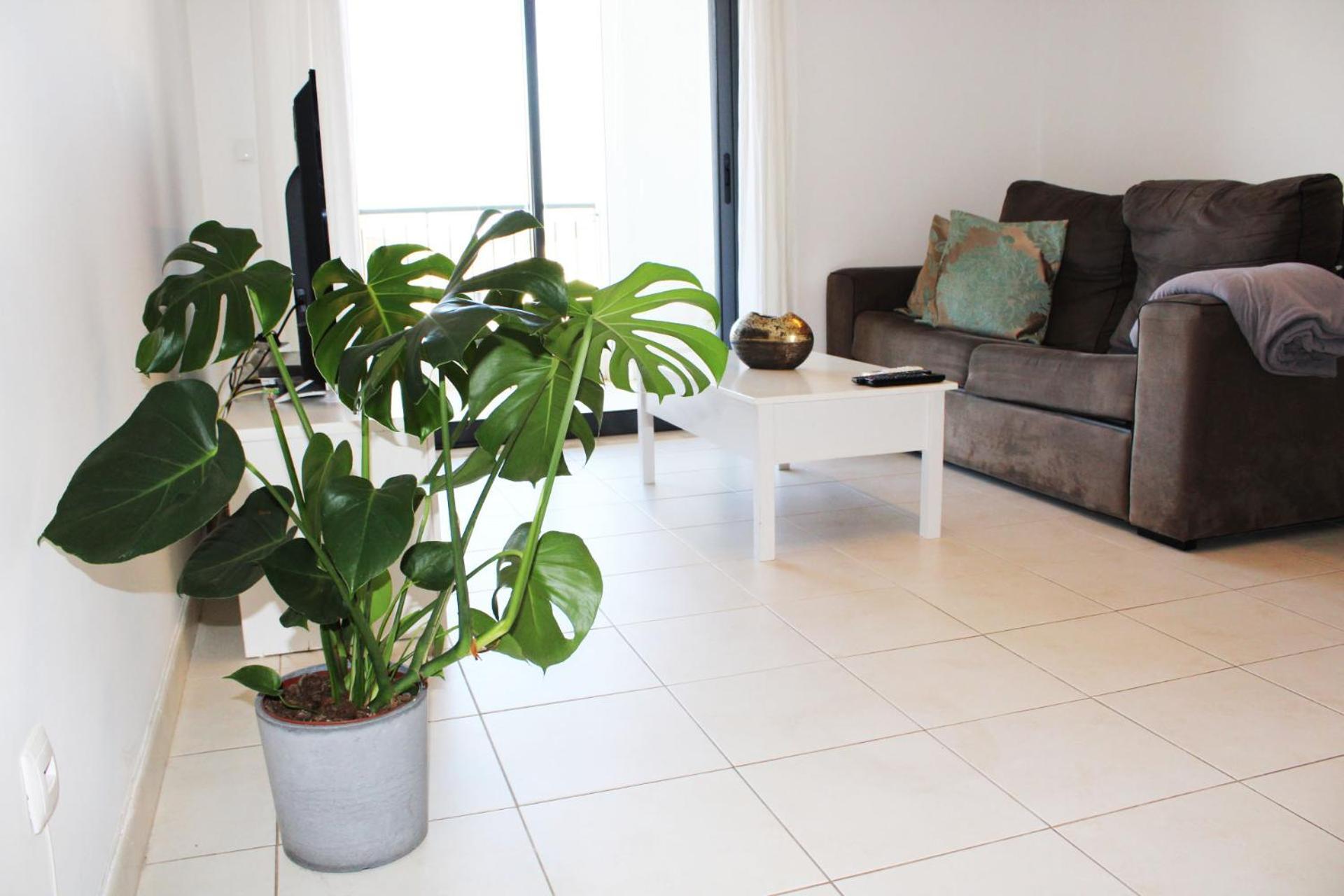 Apartment With Terrace Albufeira Olhos De Agua Dış mekan fotoğraf